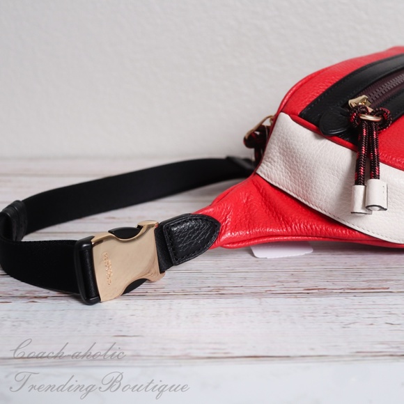 NWT Coach Vale Leather Belt Bag in Colorblock - Picture 7 of 8